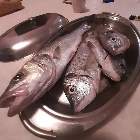 Dukic * Sveti Filip i Jakov