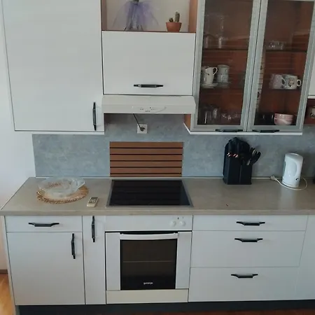 Apartment Dukic