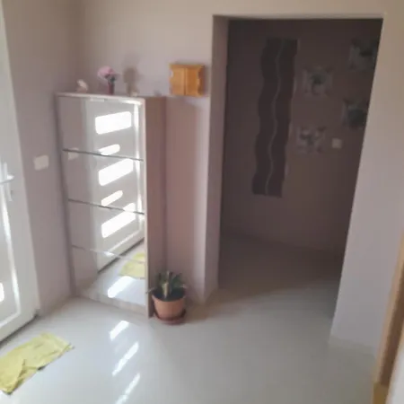 Apartman Dukic *