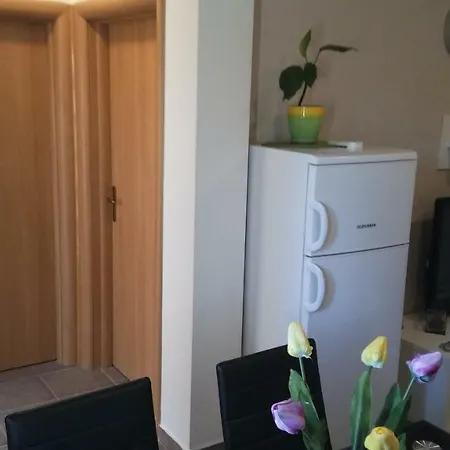 Apartman Dukic *